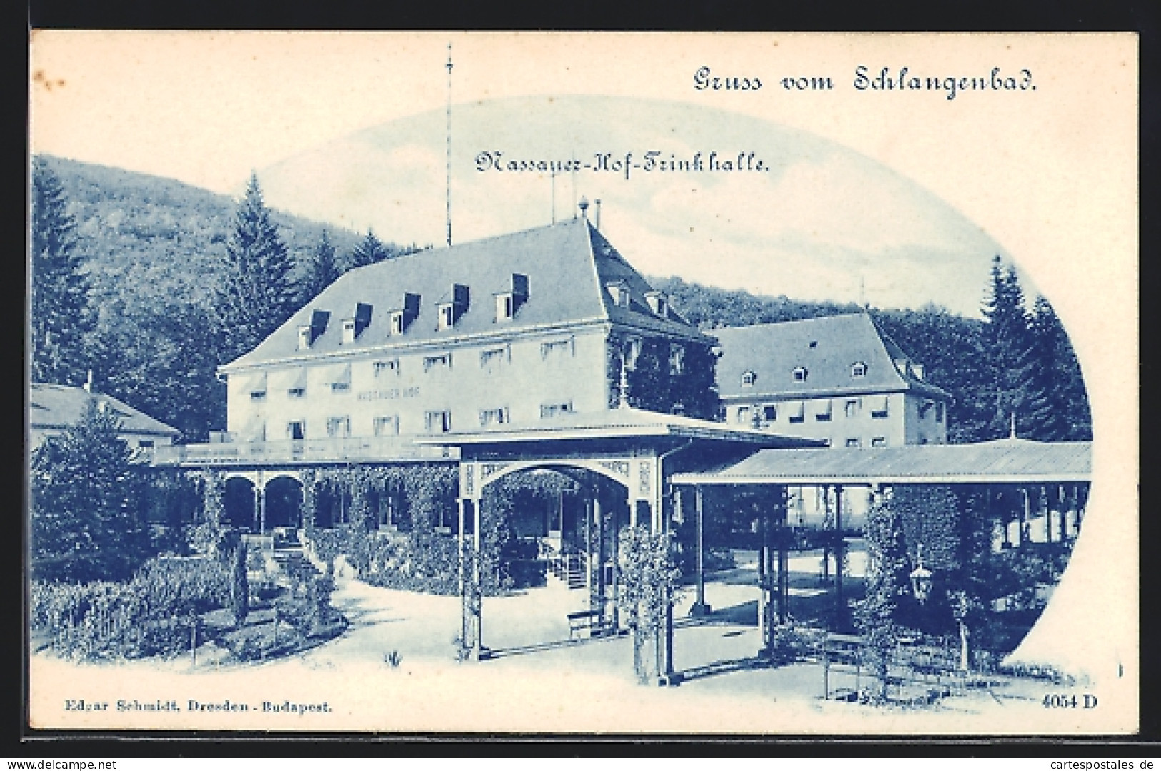 AK Schlangenbad, Hotel Nassauer-Hof Und Trinkhalle  - Schlangenbad