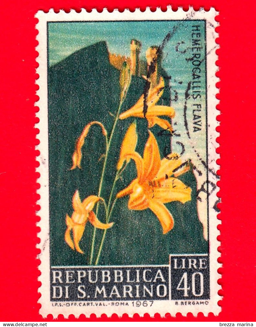 SAN MARINO - Usato - 1967 - Fiori - 3ª Emissione - Hemerocallis Flava - 40 - Gebraucht