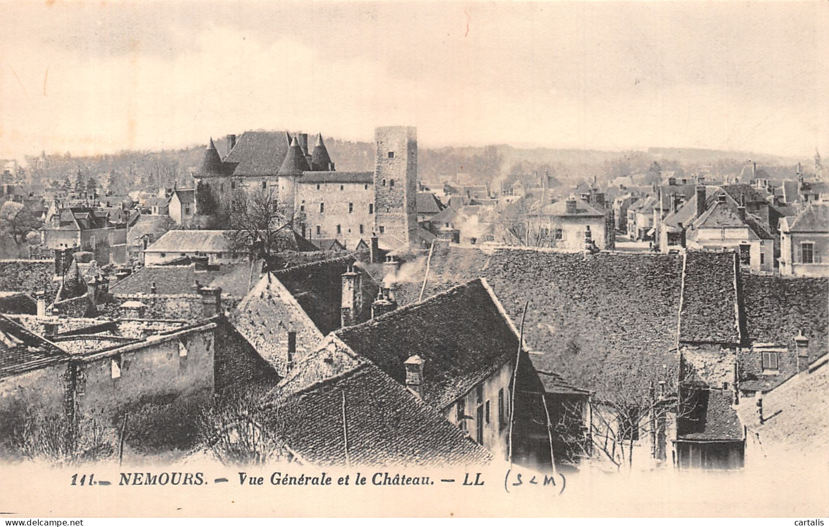 77-NEMOURS-N°4463-H/0207 - Nemours