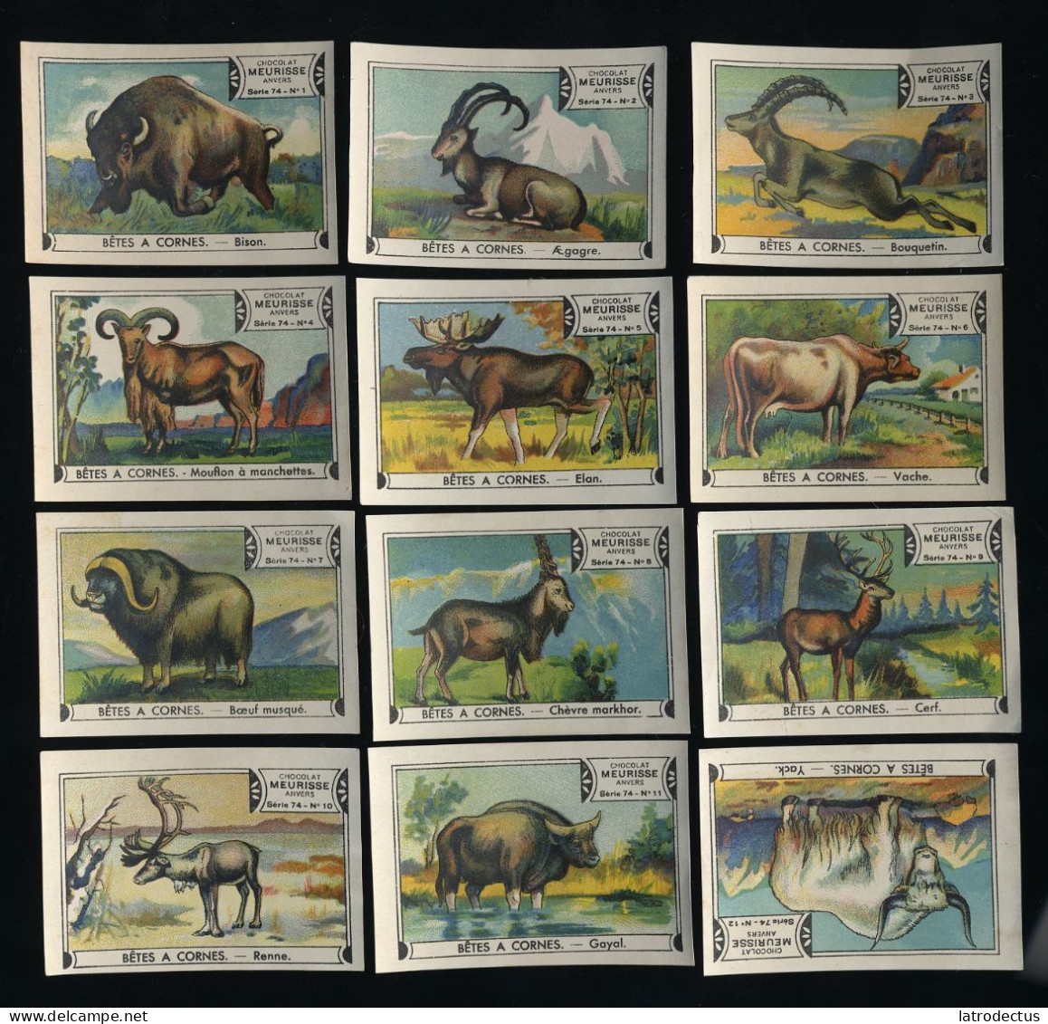 Meurisse - Ca 1930 - 74 - Bêtes à Cornes, Animals With Horns - Full Serie - Sonstige & Ohne Zuordnung