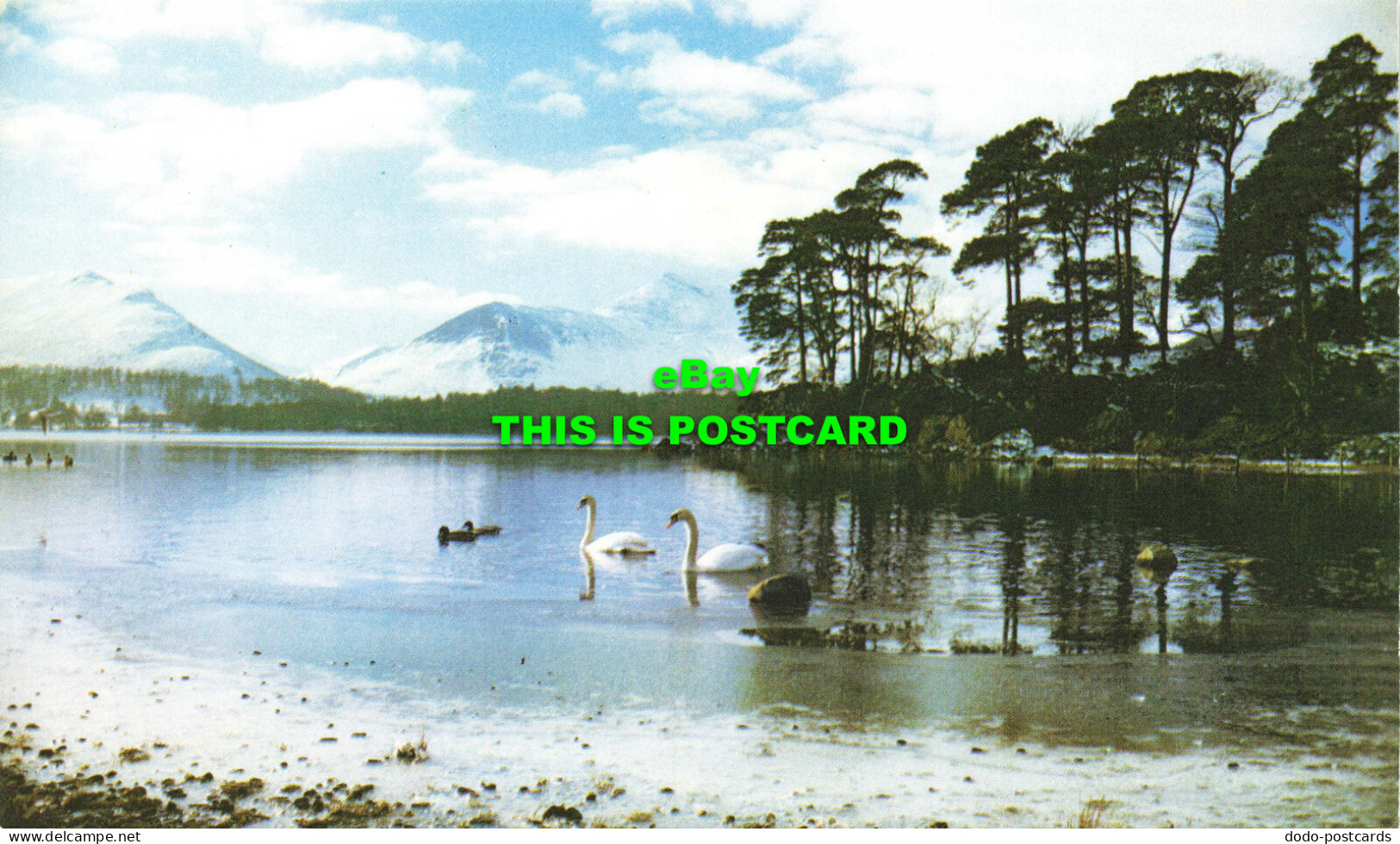 R568905 Derwentwater. Friars Crag. Published In Lakeland. Causey Pike - Welt