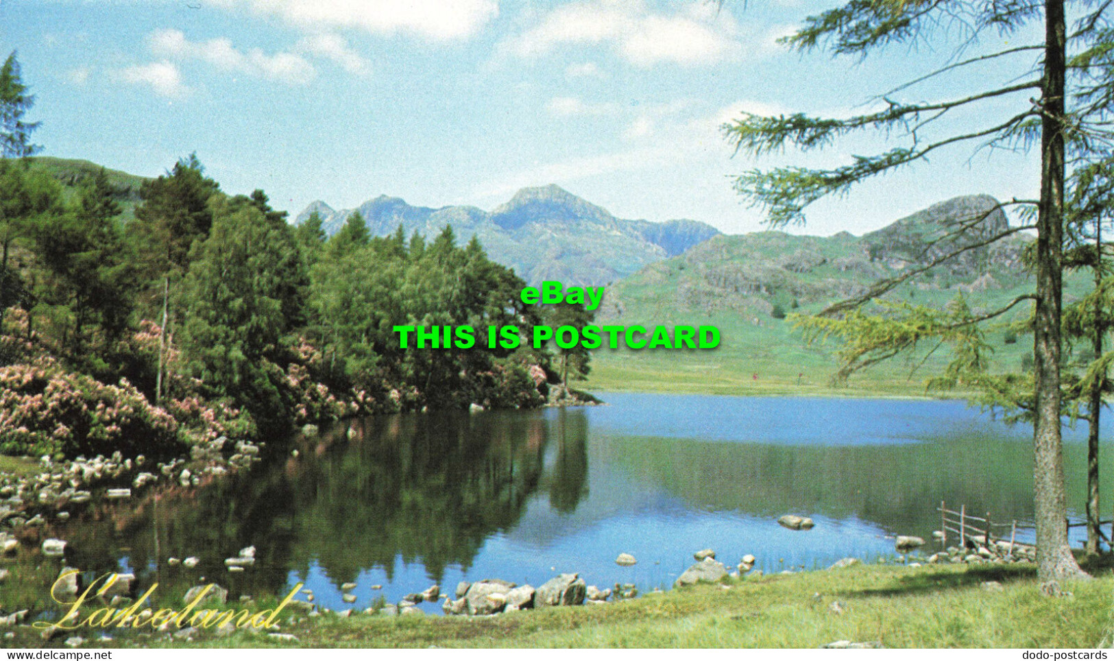 R568910 Langdale Pikes. Old Lakeland Dialect Souvenir Postcard. No. 5. Blea Tarn - Welt