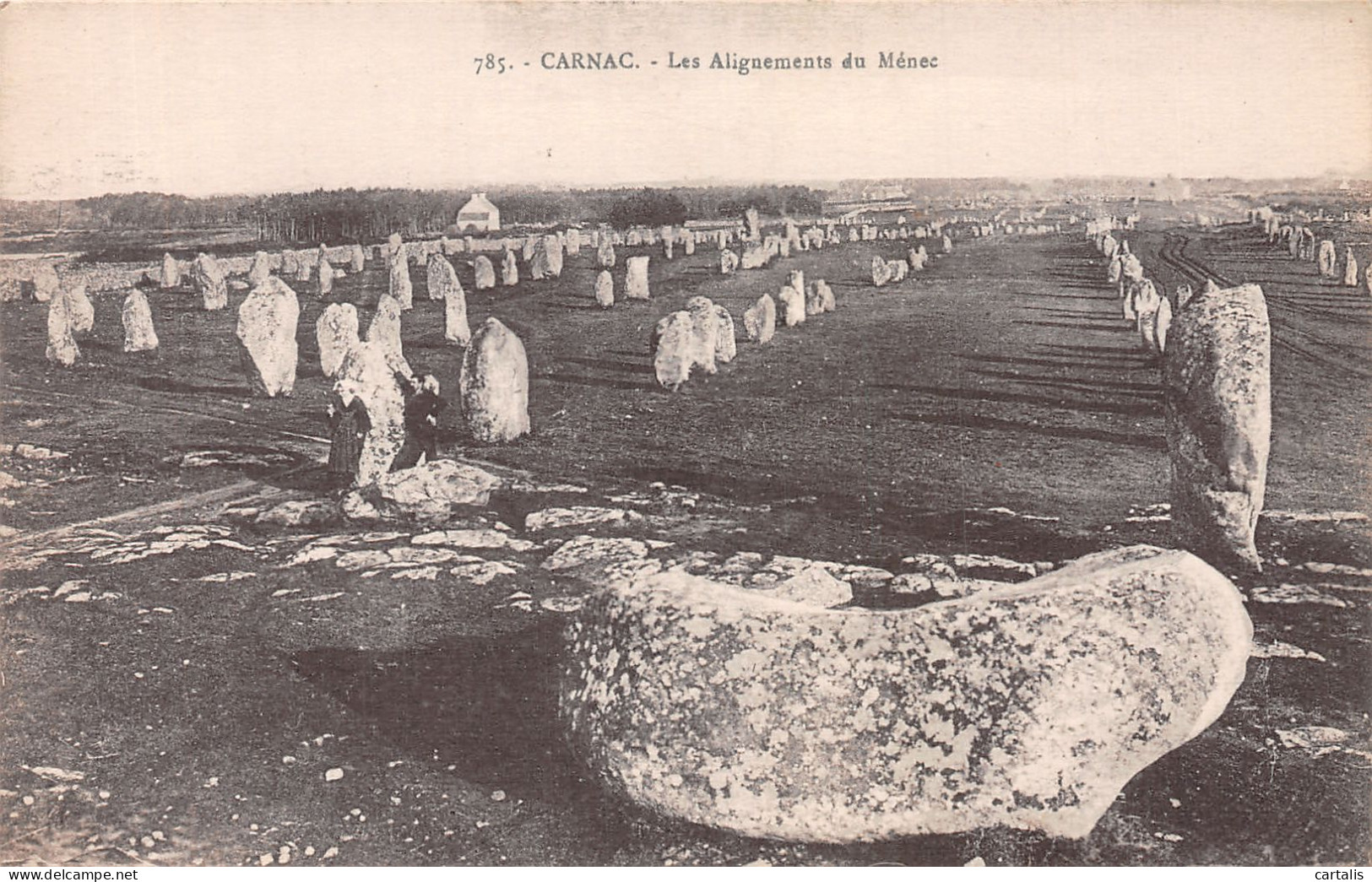 56-CARNAC-N°4464-E/0003 - Carnac