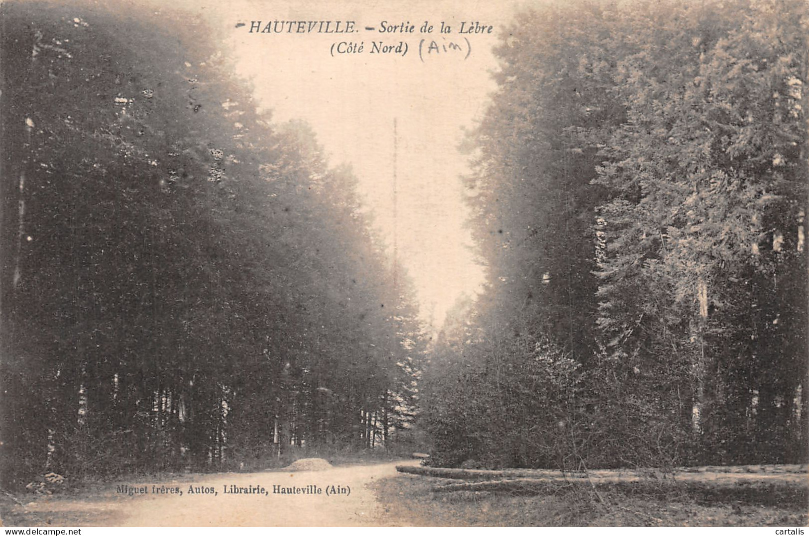 01-HAUTEVILLE-N°4464-D/0097 - Hauteville-Lompnes
