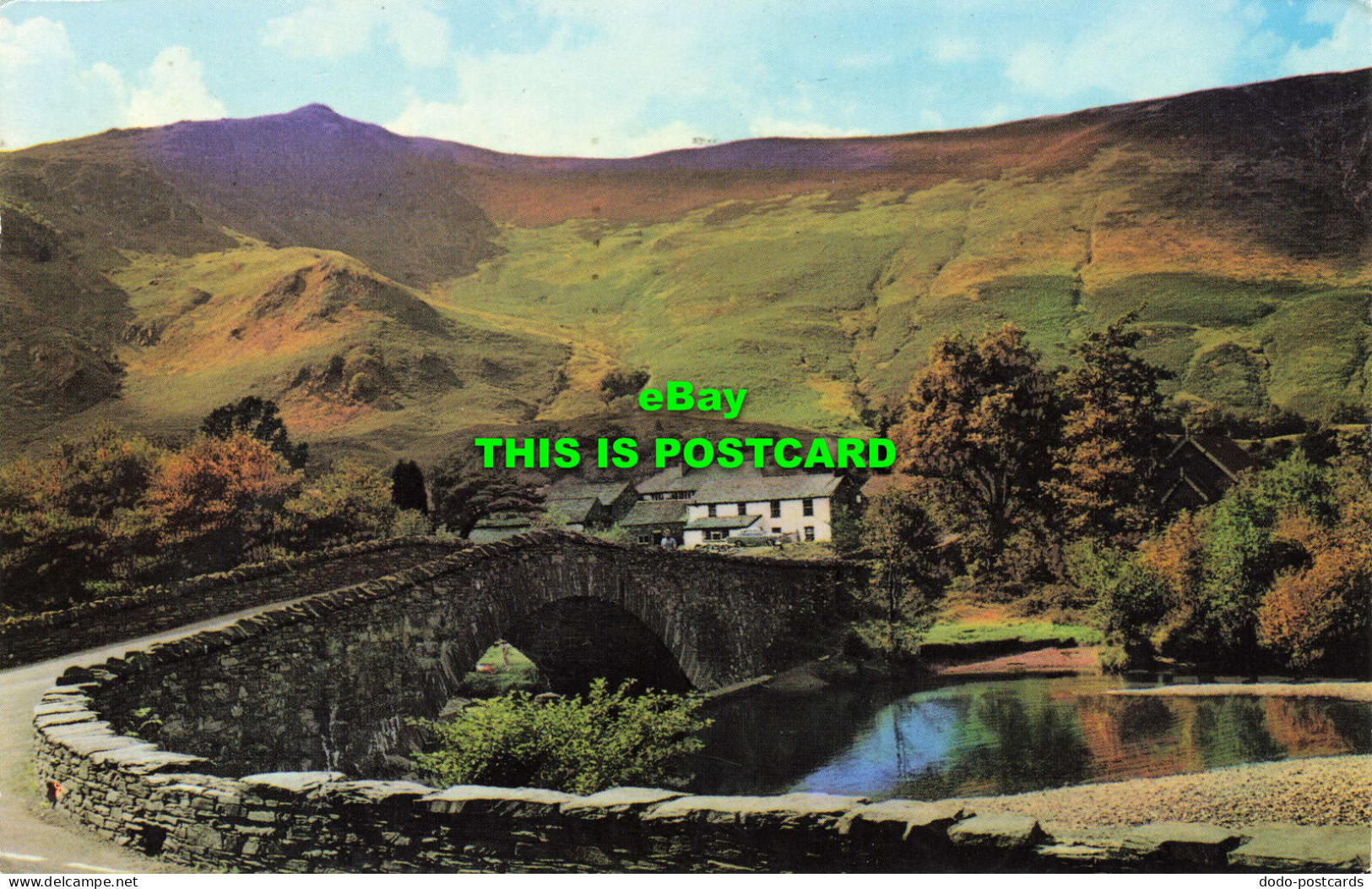 R569287 LKD. 102A. Grange In Borrowdale. H. Webster. Helvellyn House. 1973 - Welt