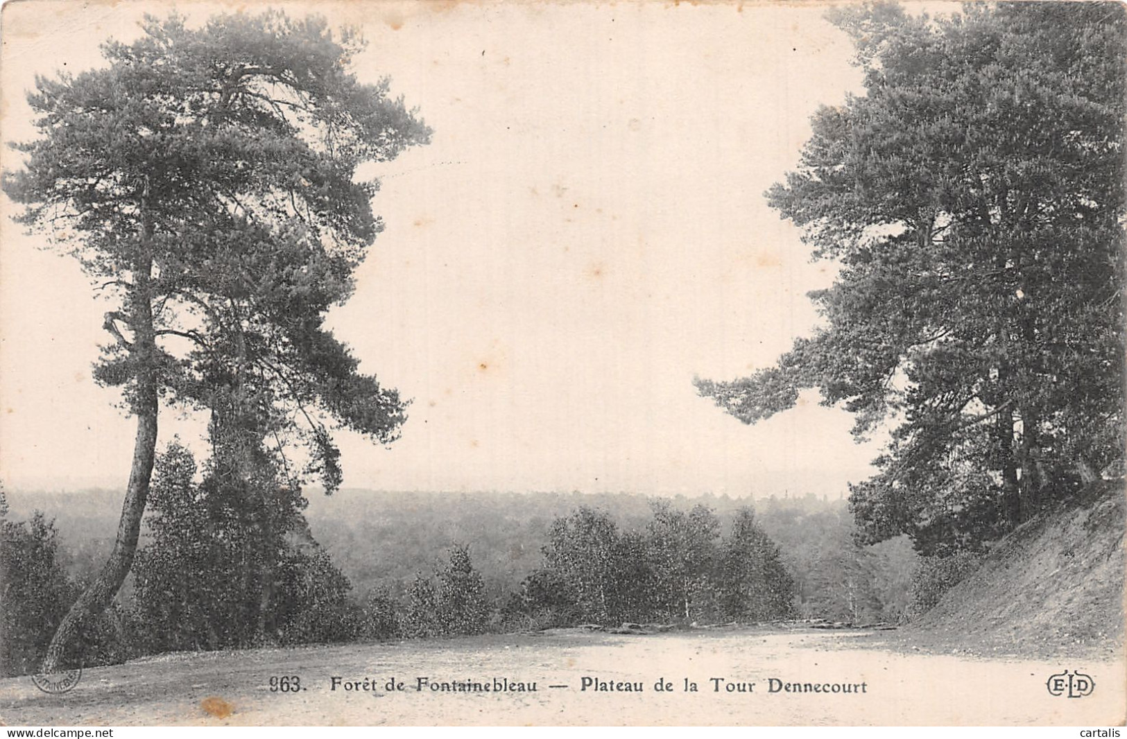 77-FONTAINEBLEAU-N°4464-G/0137 - Fontainebleau