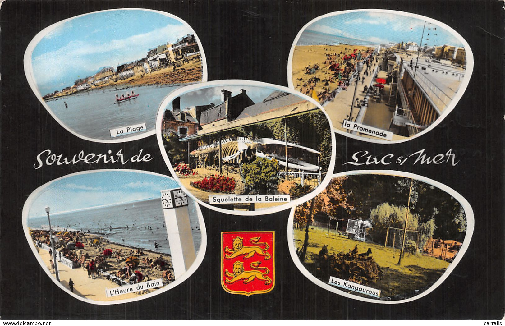 14-LUC SUR MER-N°4465-E/0115 - Luc Sur Mer