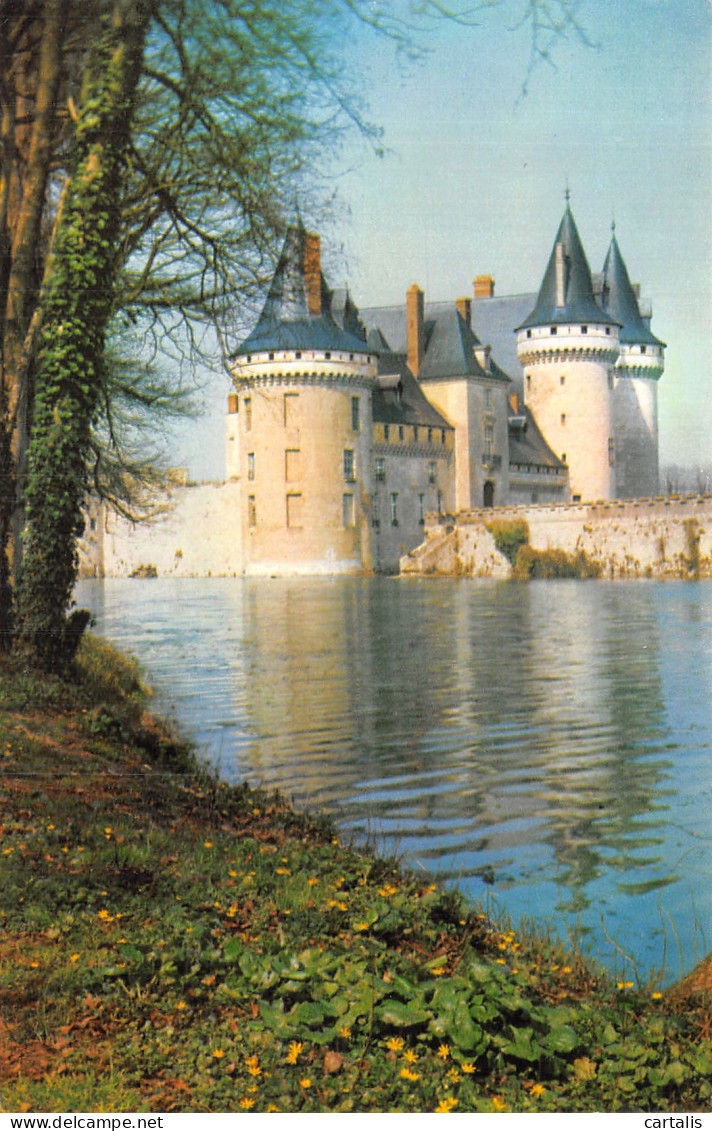 45-SULLY SUR LOIRE-N°4465-D/0169 - Sully Sur Loire