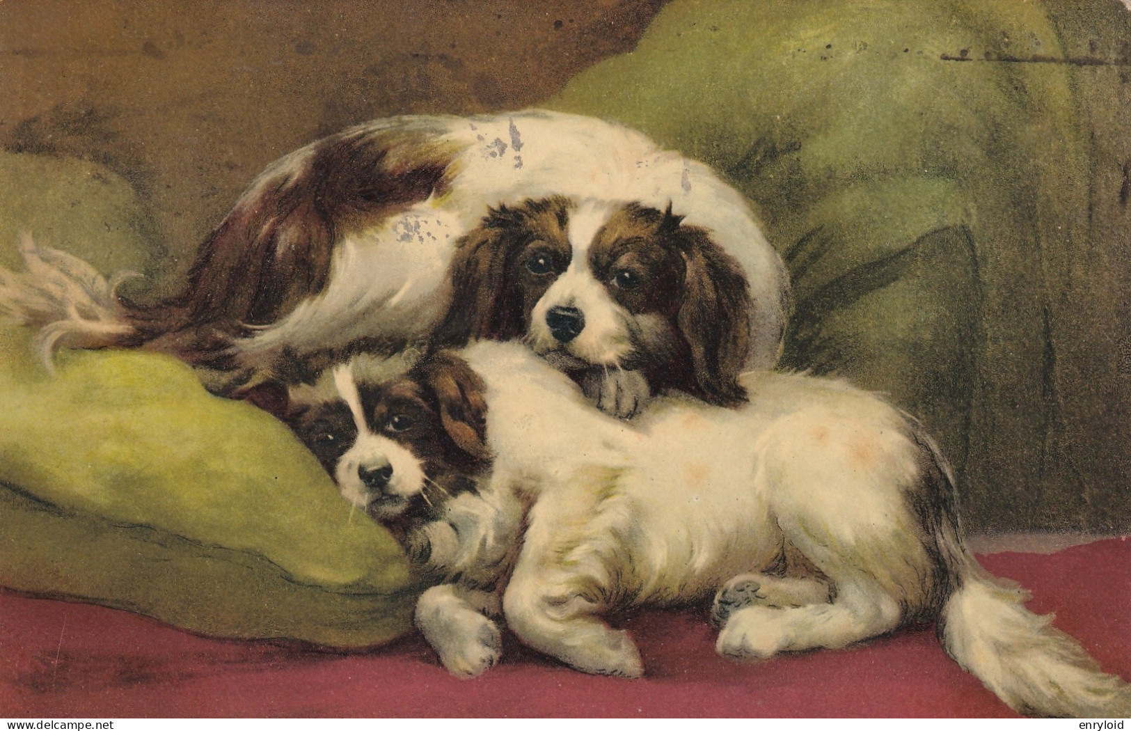 Cagnolini A Riposo 1923 - Hunde