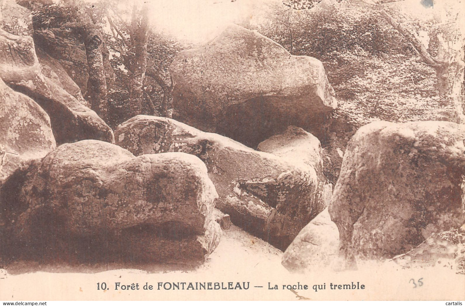 77-FONTAINEBLEAU-N°4465-G/0097 - Fontainebleau