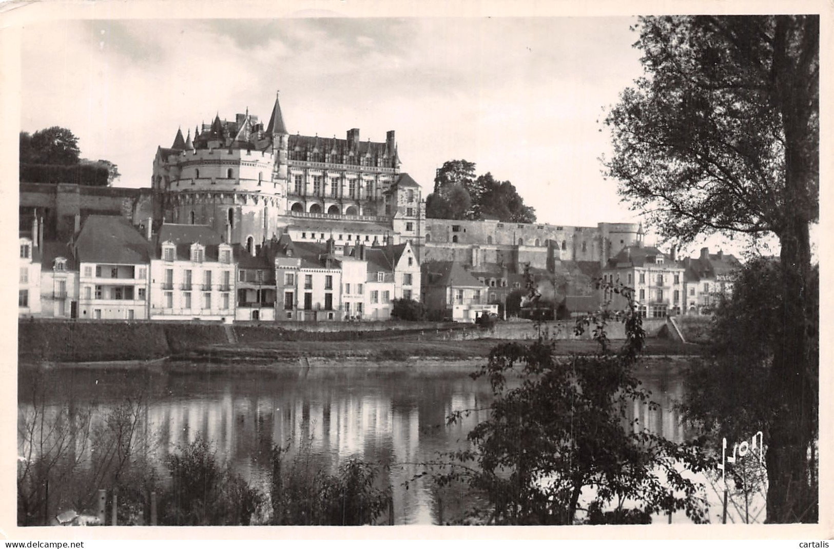 37-AMBOISE-N°4465-F/0205 - Amboise