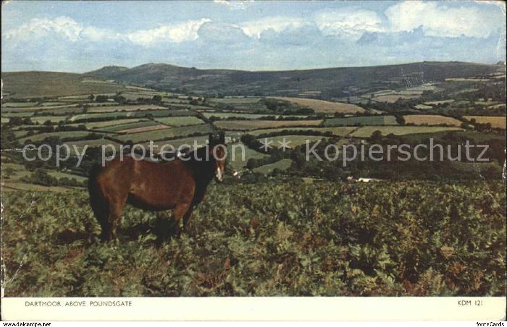 11967978 Dartmoor Above Poundsgate Newark And Sherwood - Autres & Non Classés