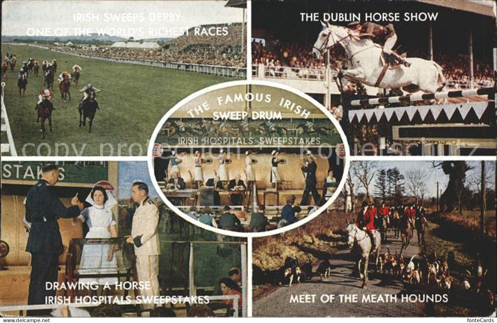 11966399 Dublin Ireland Irish Sweeps Derby Horse Show Drawing A Horse Irish Hosp - Autres & Non Classés