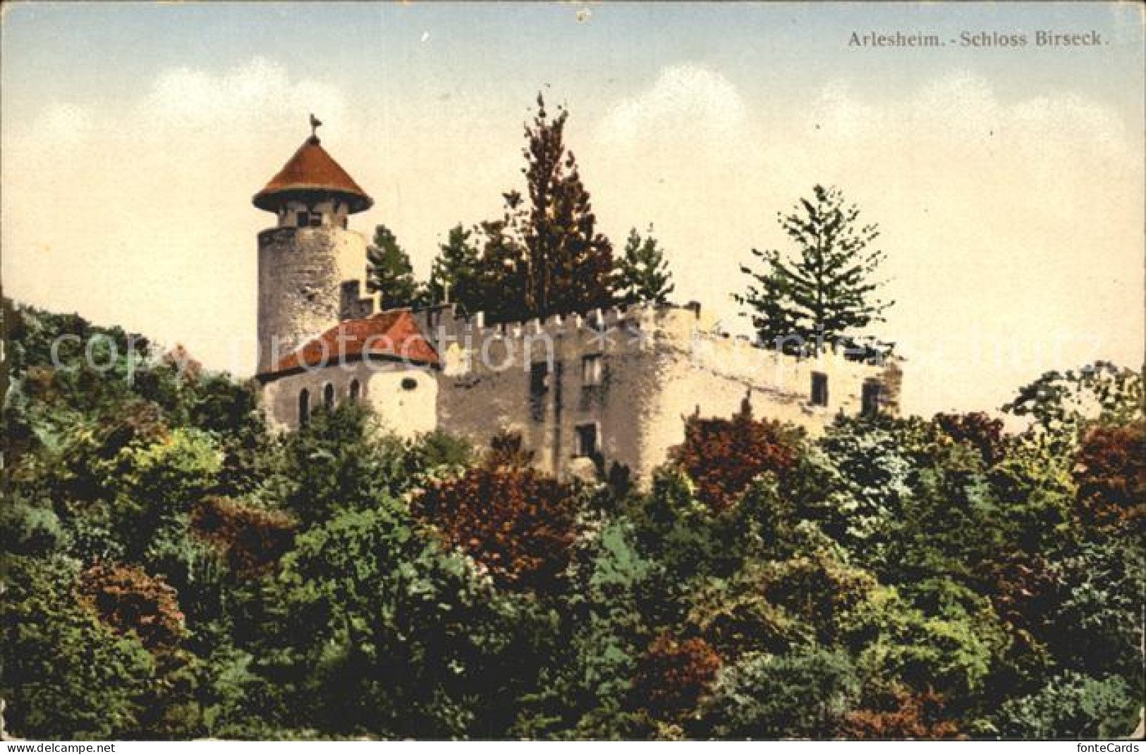 11965153 Arlesheim Schloss Birseck Arlesheim - Altri & Non Classificati