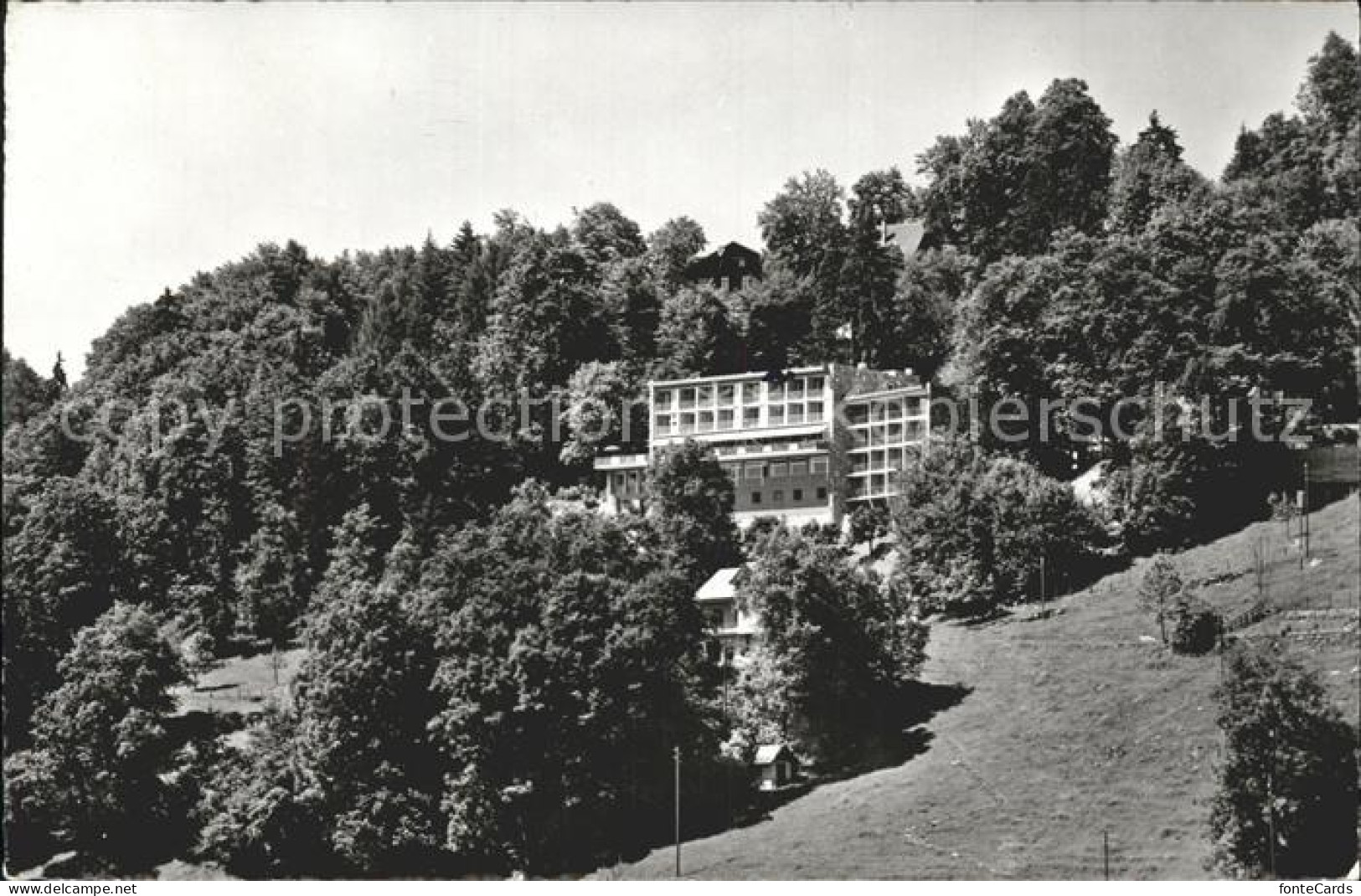 11965148 Buergenstock Hotel Waldheim Buergenstock - Other & Unclassified