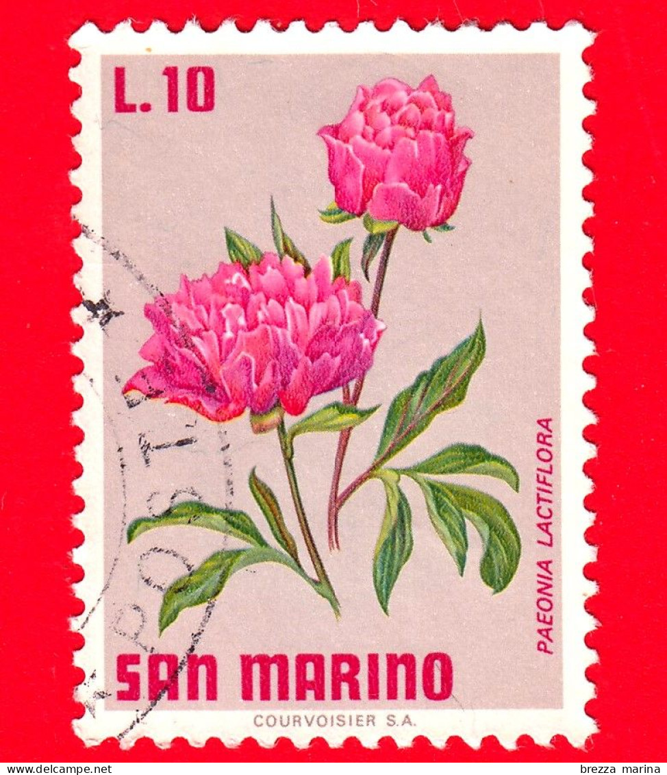 SAN MARINO - Usato - 1971 - Fiori - 4ª Emissione - Peonie - Peonia Lactiflora - 10 - Gebruikt