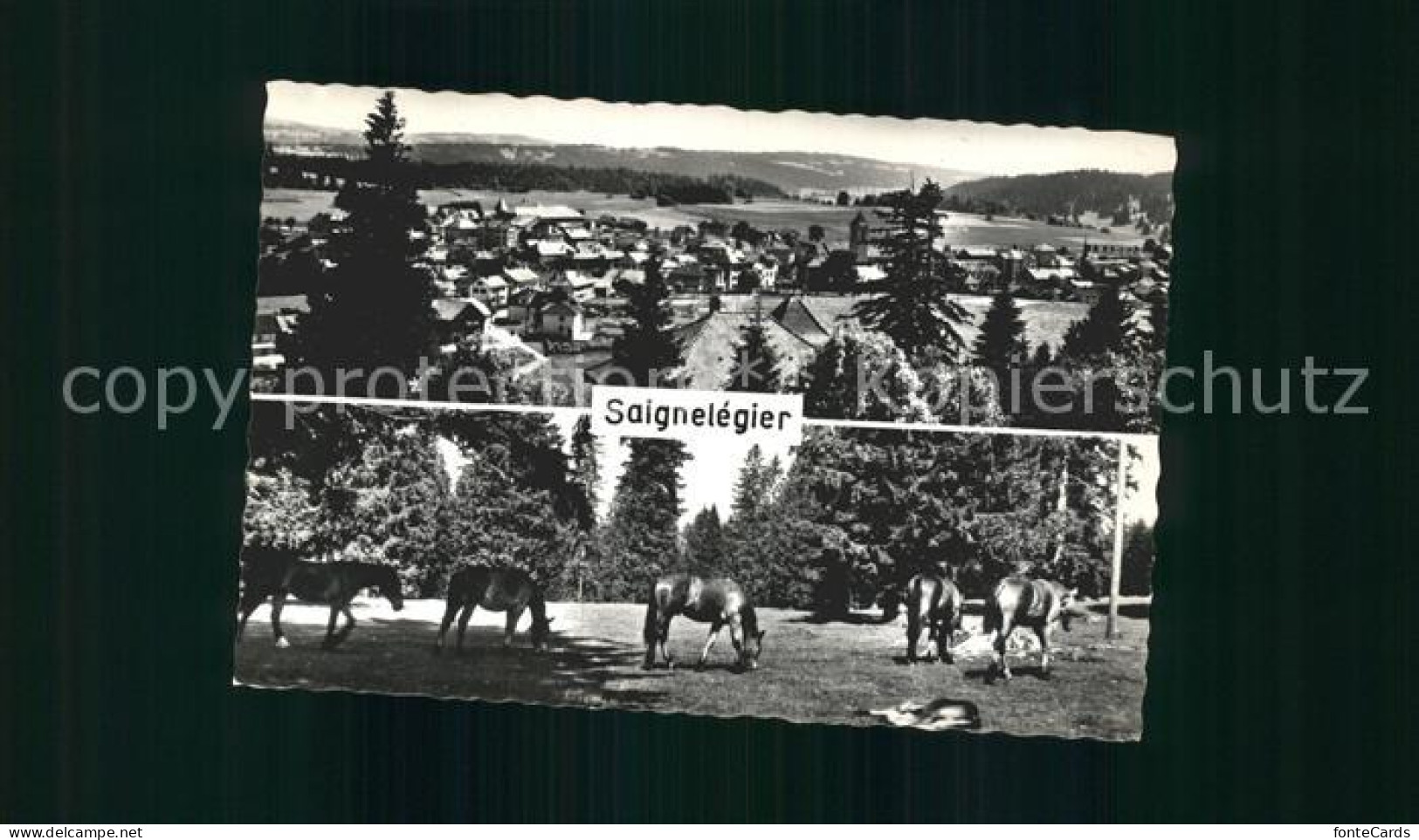 11965104 Saignelegier Panorama Pferde Saignelegier - Sonstige & Ohne Zuordnung