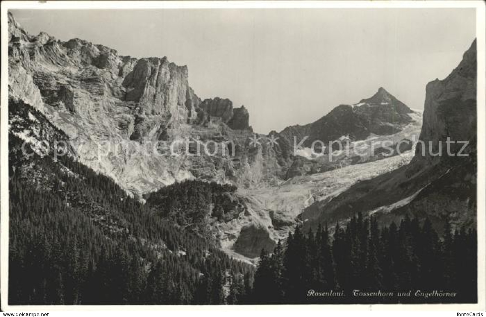 11963524 Rosenlaui BE Tossenhorn Und Engelhoerner Berner Alpen Rosenlaui - Autres & Non Classés