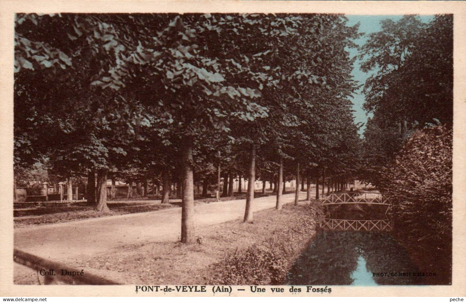 N°1511 W -cpa Pont De Veyle -une Vue Des Fossés- - Non Classés