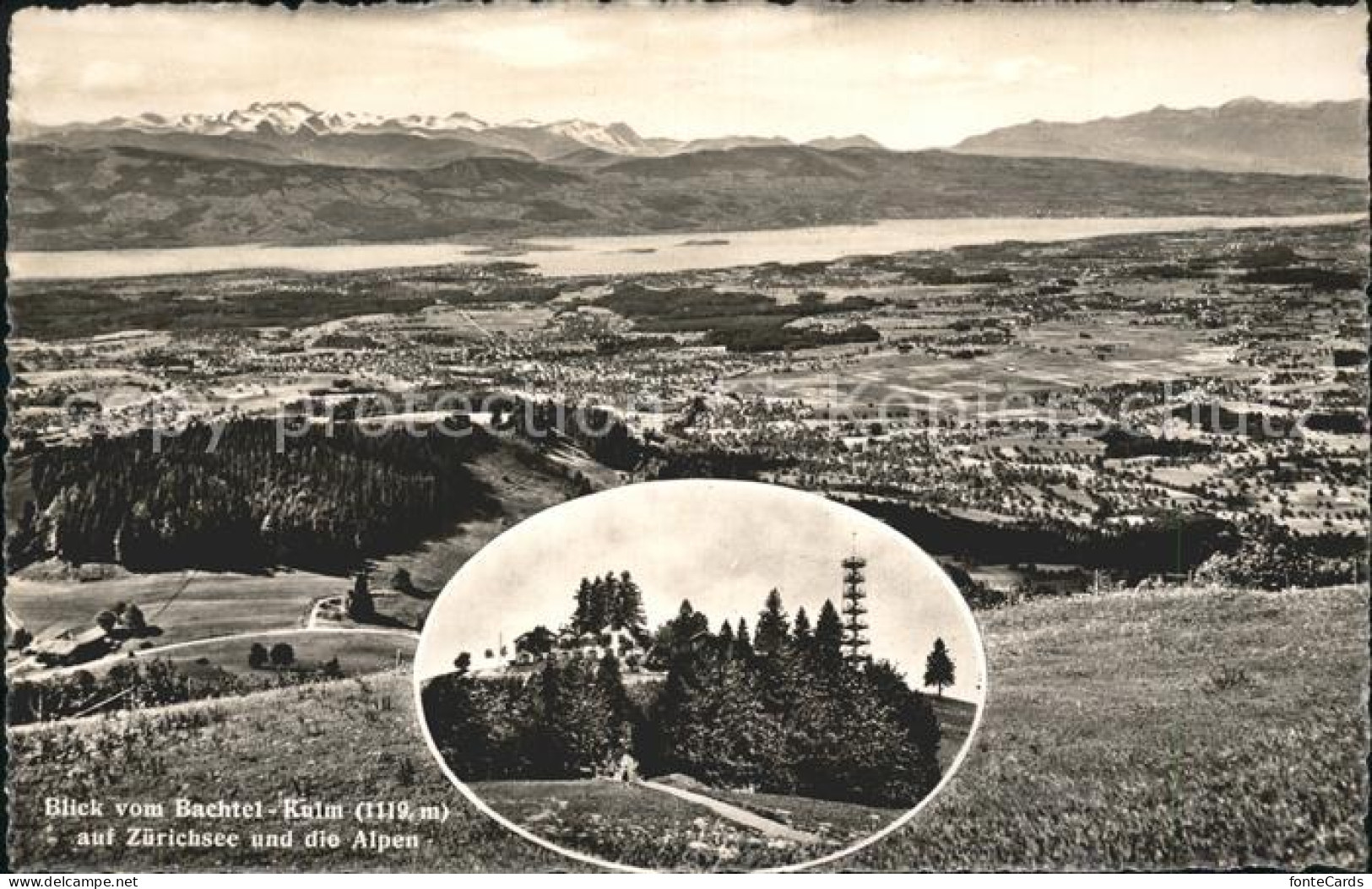 11963461 Hinwil Panorama Blick Vom Gasthaus Bachtel Kulm Auf Zuerichsee Alpen Hi - Autres & Non Classés