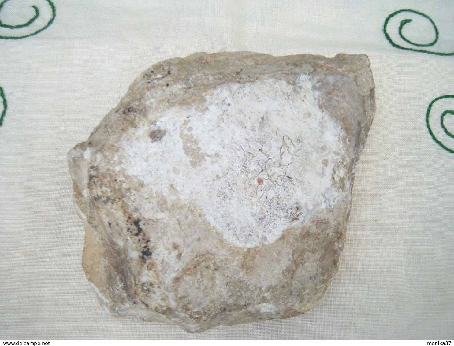 pierre fossilisée - empreinte ancienne