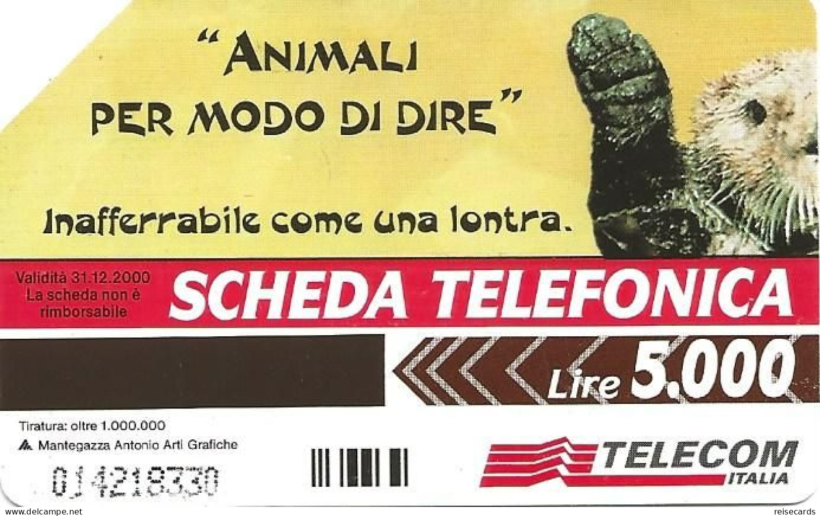 Italy: Telecom Italia - Animali Per Modo Di Dire, Lontra (17mm) - Öff. Werbe-TK