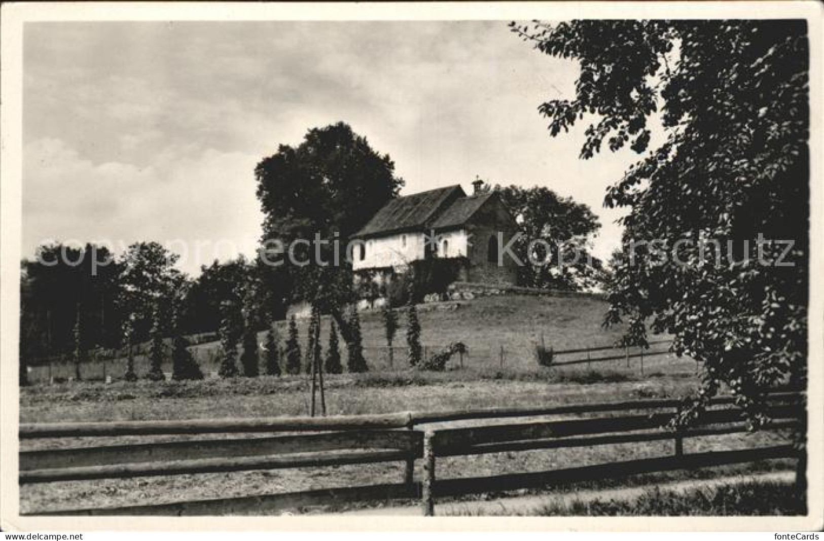 11960800 Insel Ufnau Martinskapelle Insel Ufnau - Autres & Non Classés