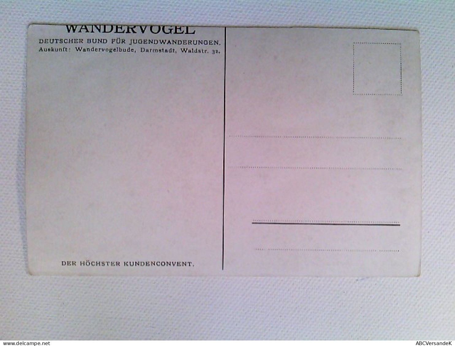 Wandervogel, Der Höchster Kundenkonvent, Foto AK, Ungelaufen, Ca. 1925 - Unclassified