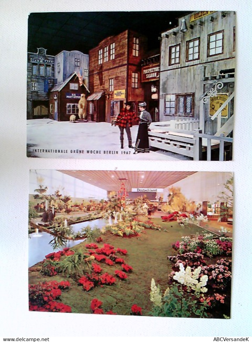 Berlin, Int. Grüne Woche 1967, U.S.Exhibition, Int. Blumenhalle, 2 AK, 1x Gelaufen 1967, 1x Ungelaufen, Konvo - Other & Unclassified