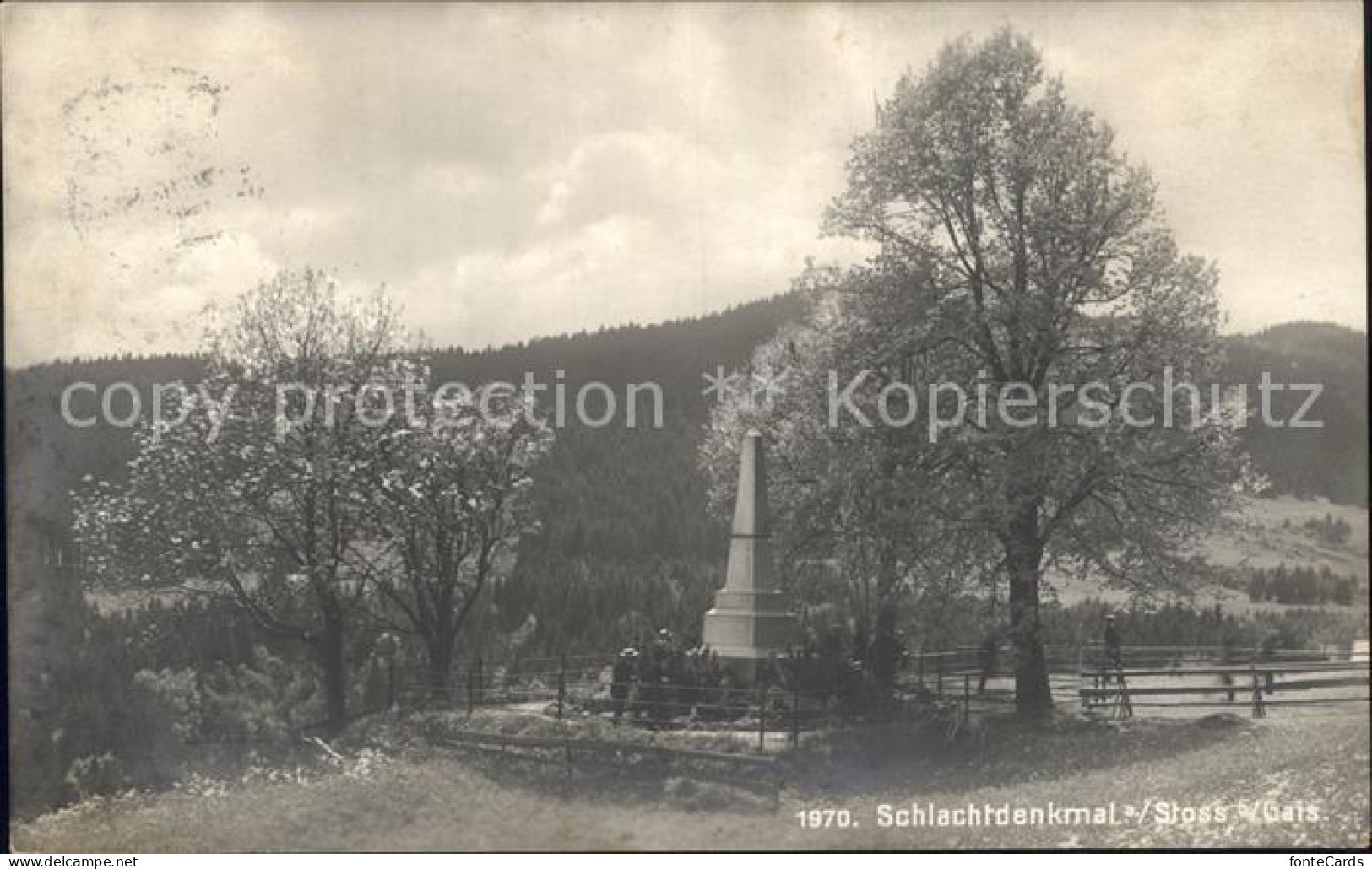 11960648 Stoss Altstaetten Schlachtdenkmal Baumbluete Stoss - Autres & Non Classés