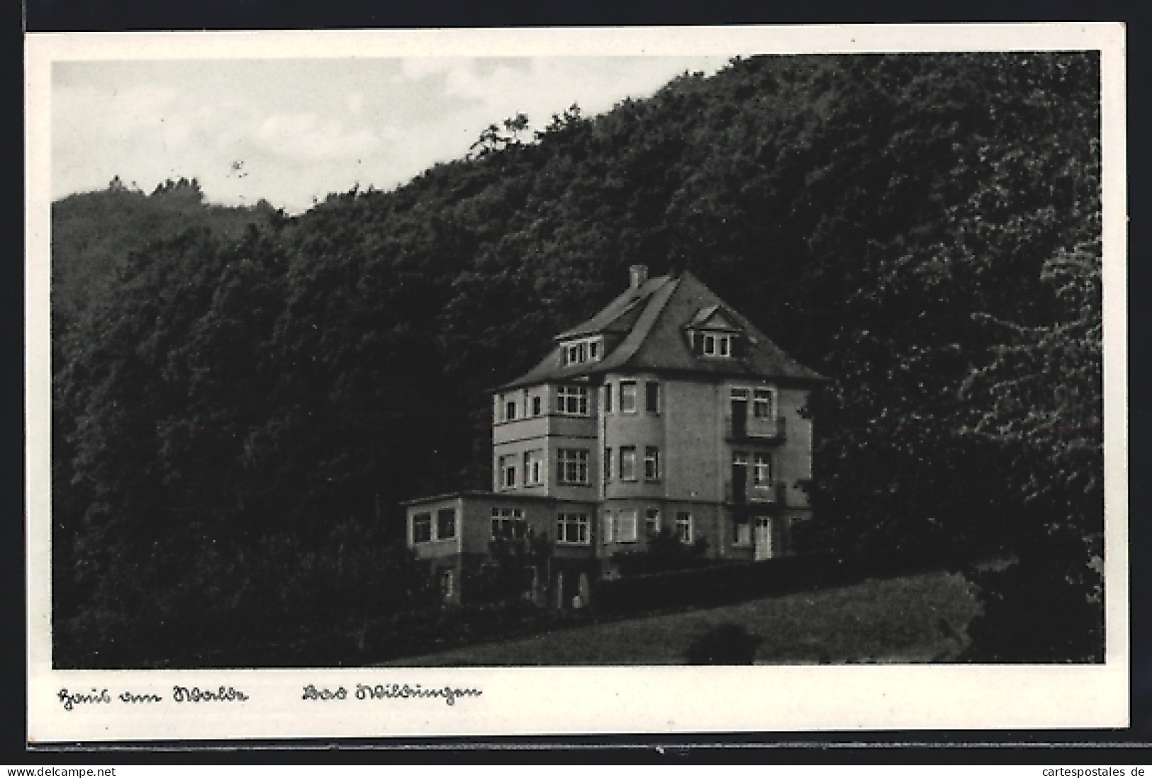 AK Bad Wildungen, Gaststätte Haus Am Walde M. Weber  - Bad Wildungen