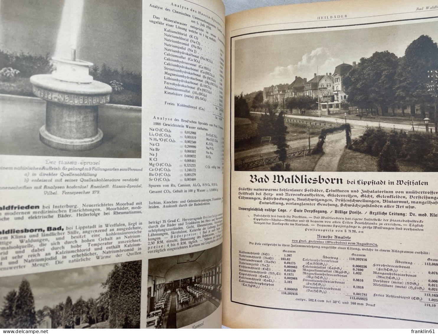 Reichshandbuch Der Deutschen Fremdenverkehrsorte. Reichs-Bäder-Adressbuch 1934. - Sonstige & Ohne Zuordnung