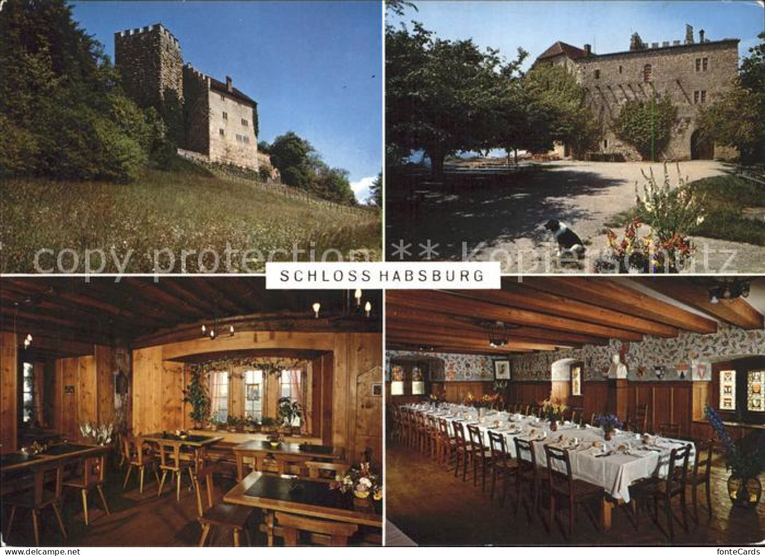 11947043 Brugg AG Schloss Habsburg Brugg - Autres & Non Classés