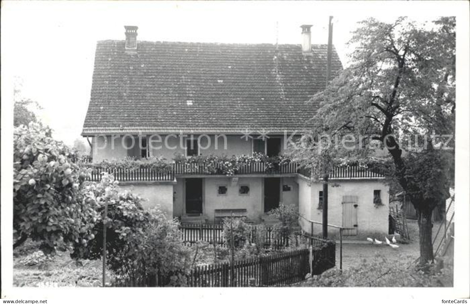 11945091 Altstetten Zuerich Haus  - Autres & Non Classés