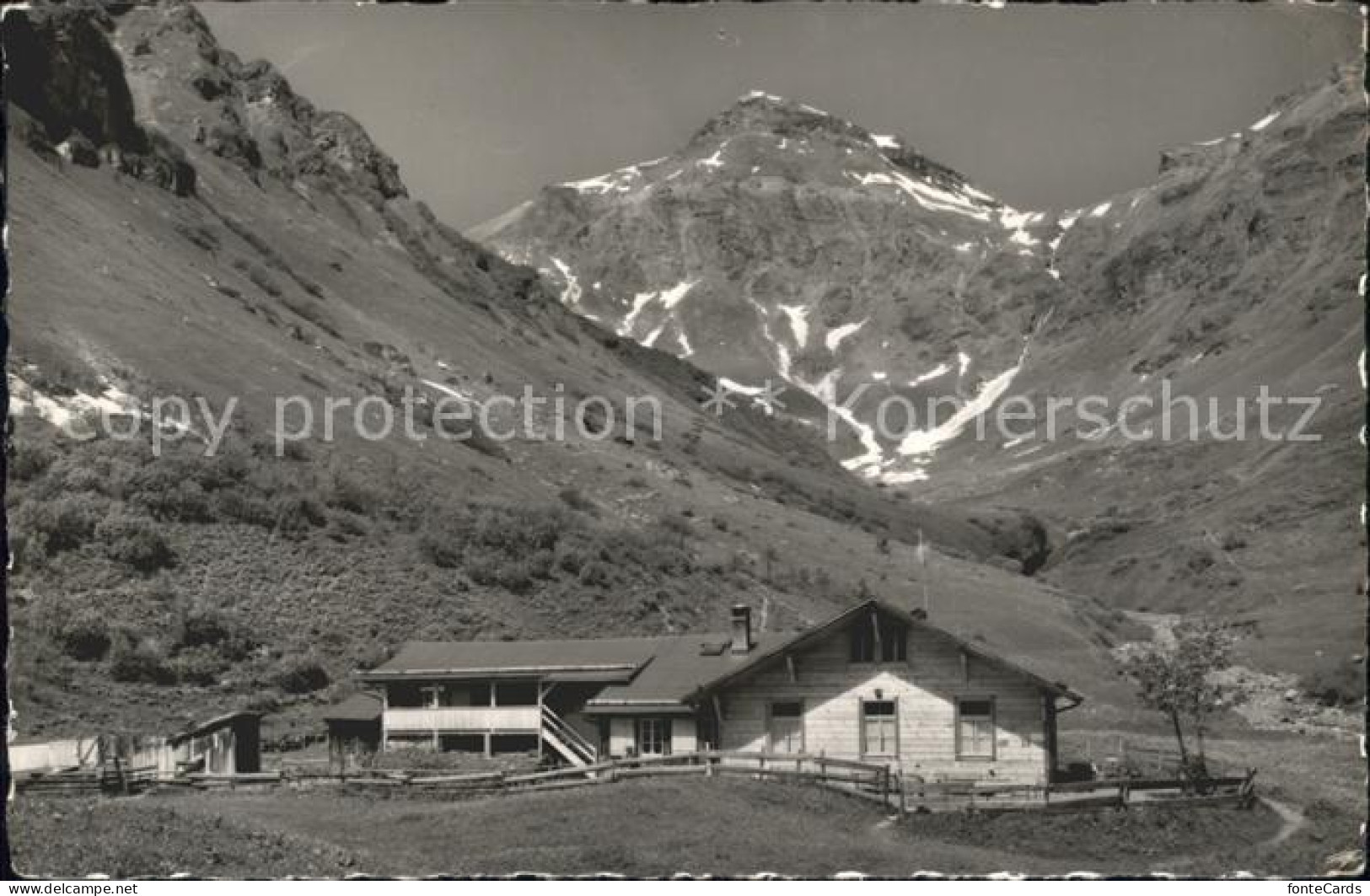 11943282 Muerren BE Alp Spielboden Schilthorn Muerren BE - Sonstige & Ohne Zuordnung