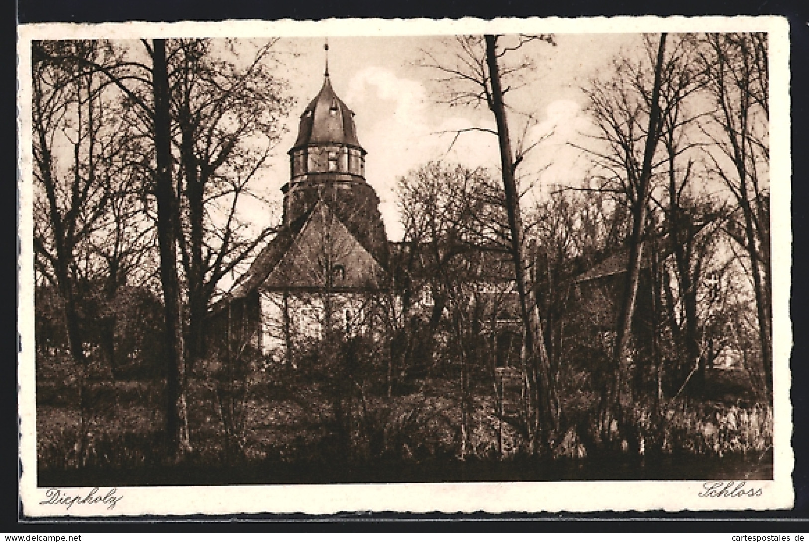 AK Diepholz, Schloss Hinter Bäumen  - Diepholz