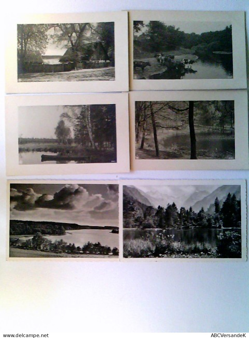Landschaften, Natur, 6 AK, 5x Ungelaufen, Ca. 1960, 1x Rückseite Beschrieben 1977, Konvolut - Non Classés