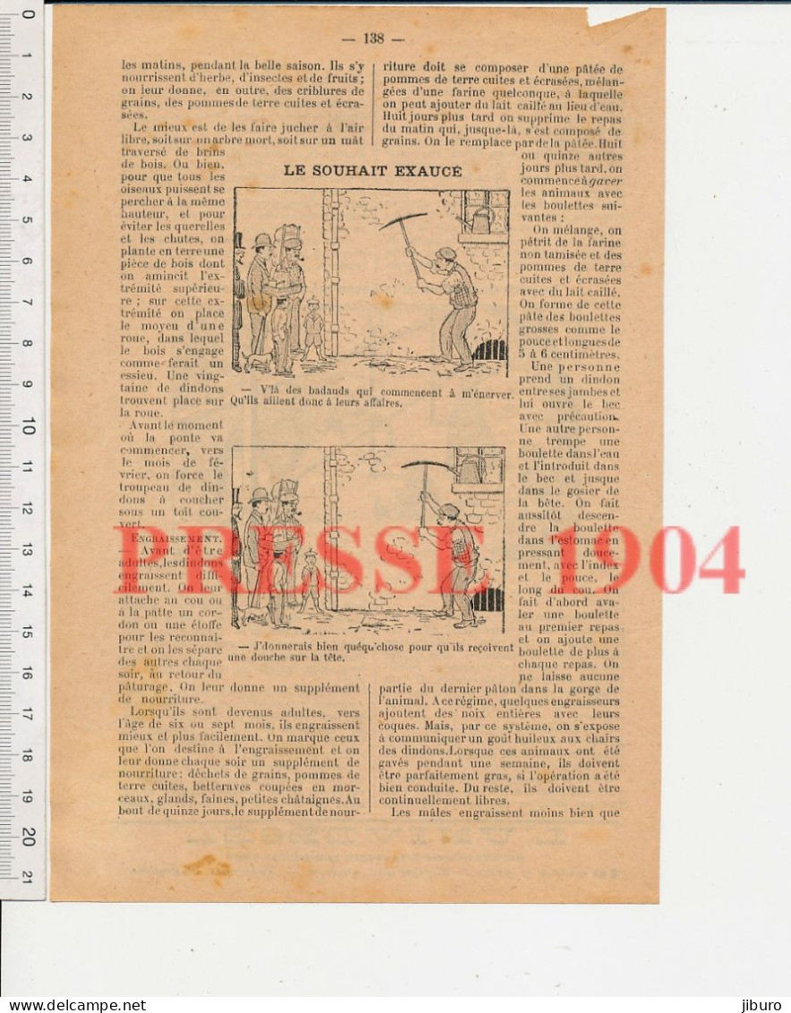 10 vues 1904 Dessin Sellier Humour Araignée grue oiseau Sensitive plante carnivore Aviron Nil ? crocodile Zoo éléphants