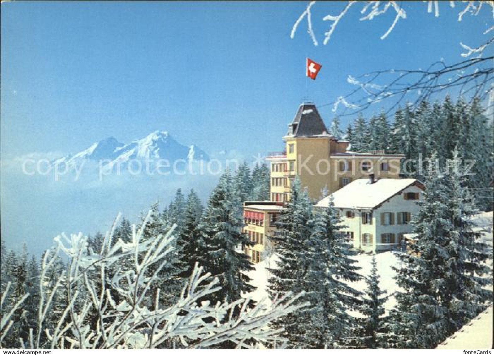 11939860 Rigi Kaltbad Hotel Bellevue Rigi Kaltbad - Otros & Sin Clasificación