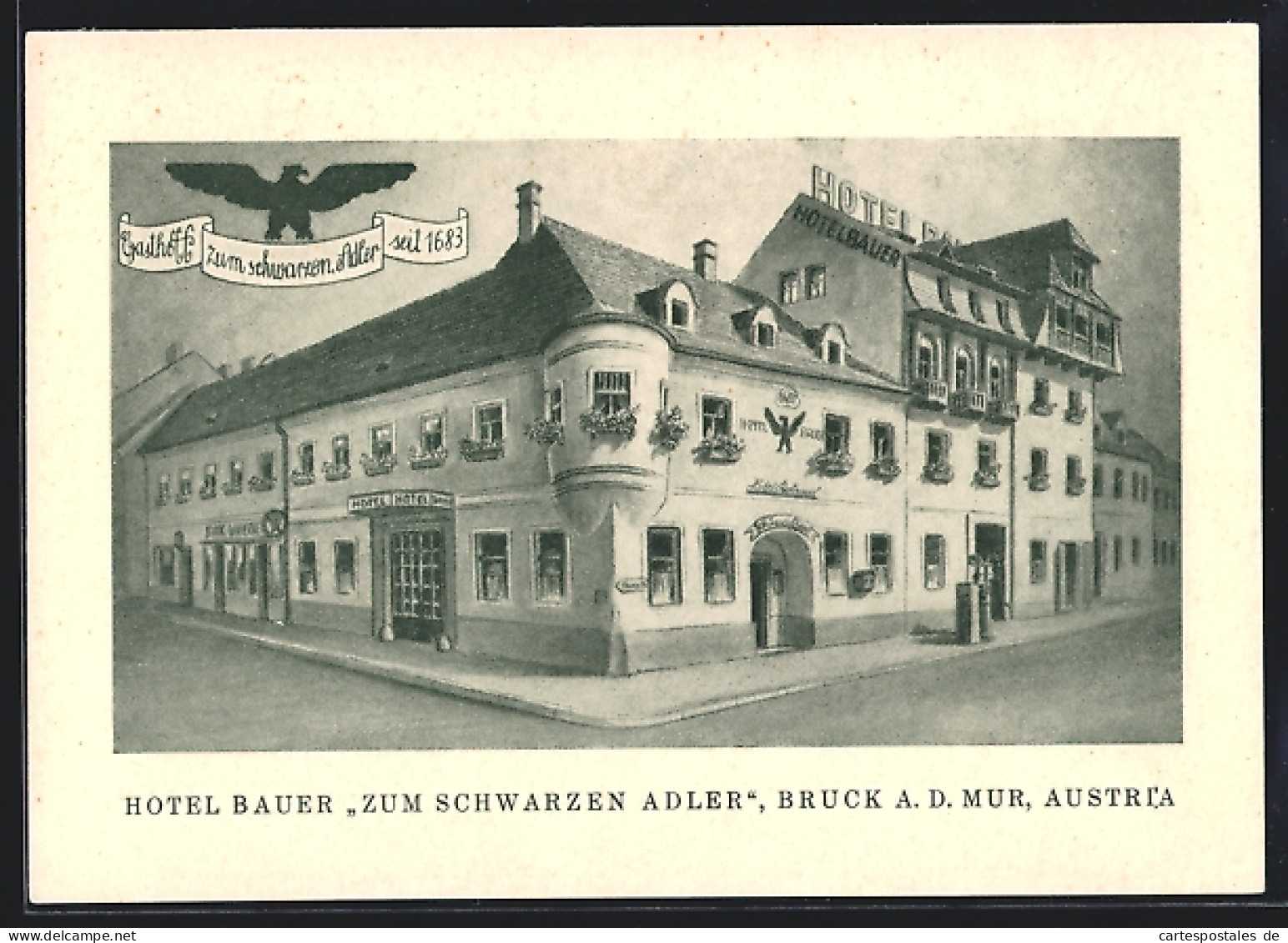 AK Bruck A. D. Mur, Hotel Bauer, Zum Schwarzen Adler  - Autres & Non Classés