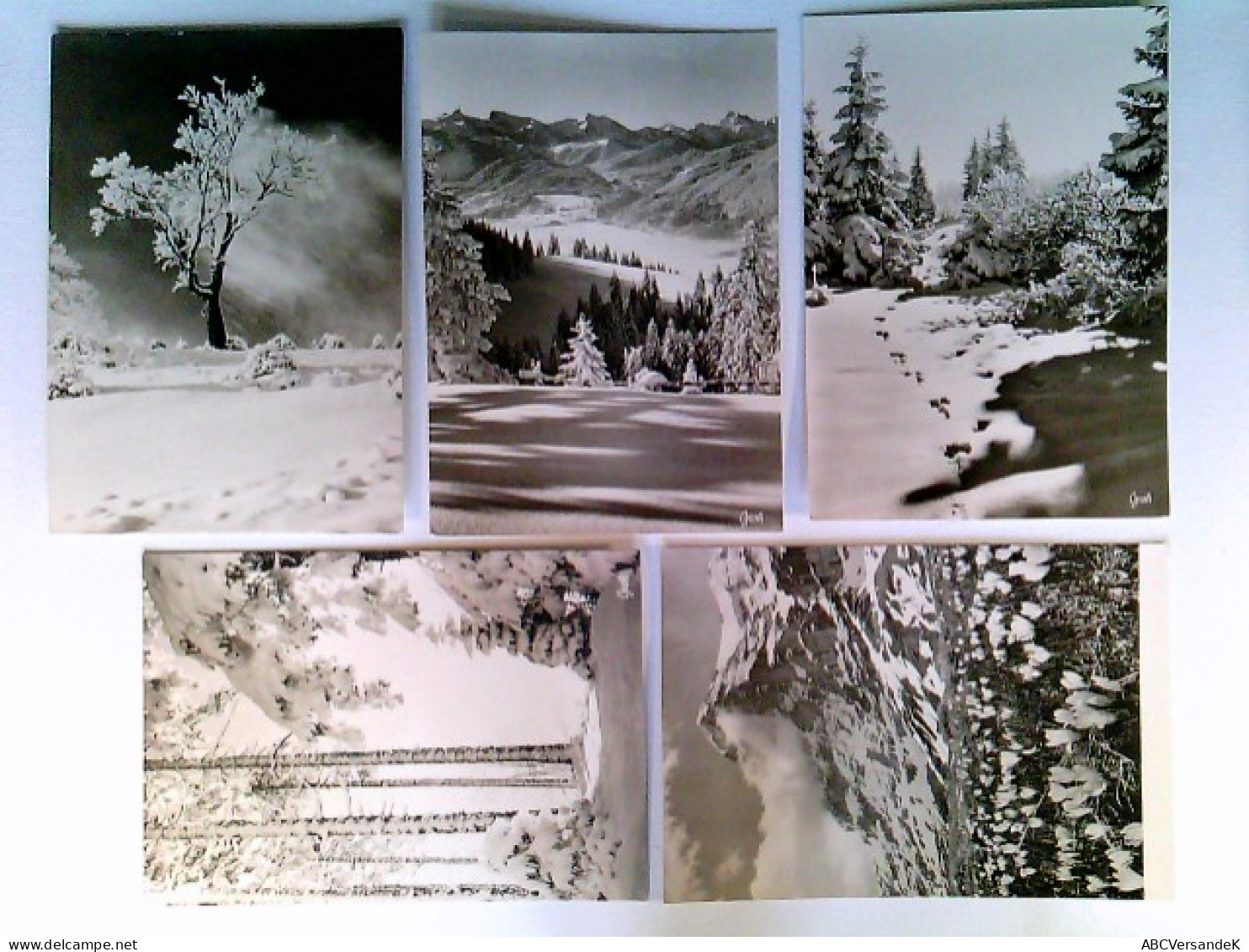 Schnee, Winter, Bäume, Berge, Versch. Ansichten, Fotokunst Groh, 5 Foto AK, 4x Ungelaufen, Ca. 1960, 1x Gelau - Ohne Zuordnung