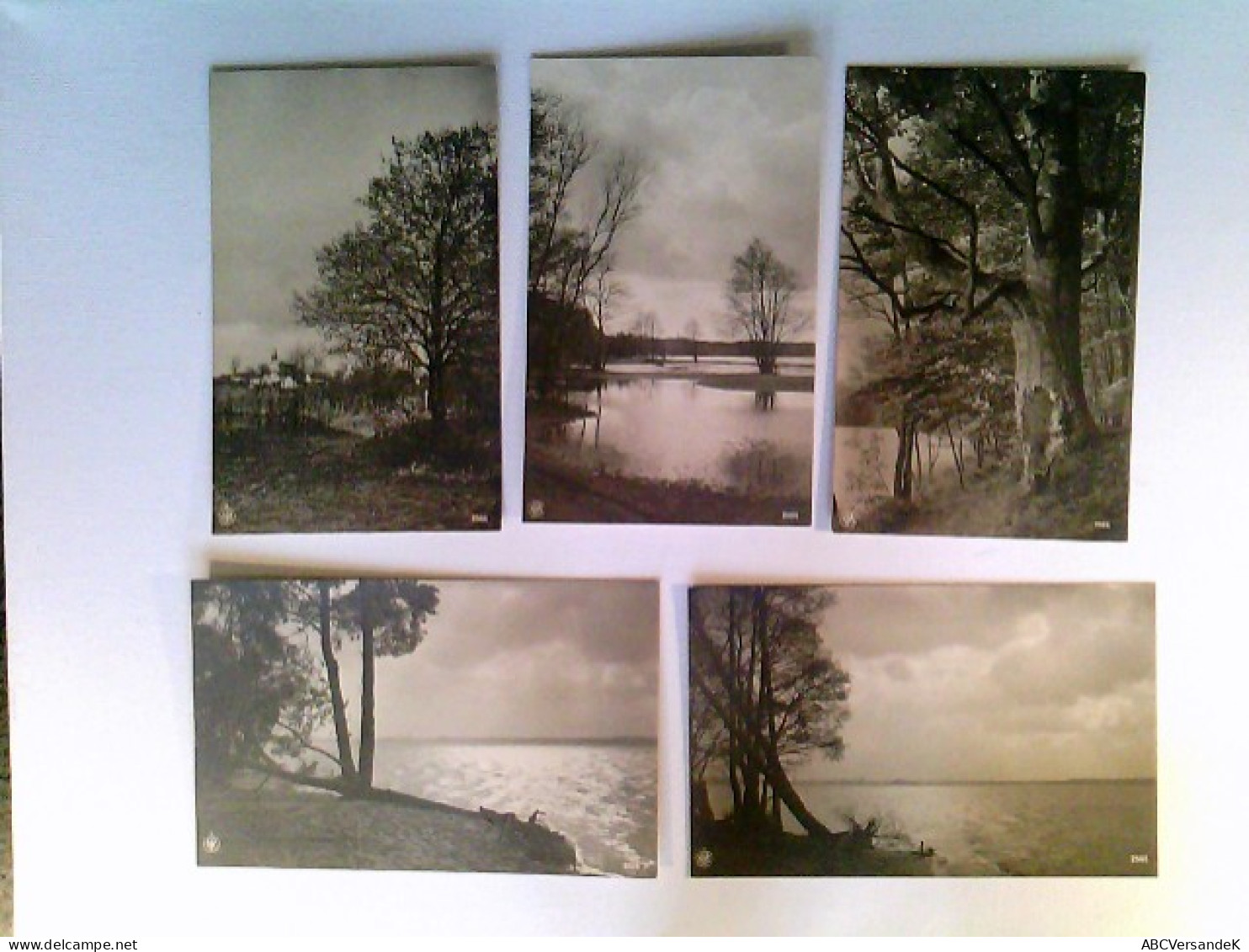 Seen, Fluss, See, Landschaft, Natur, 5 AK, Ungelaufen, Ca. 1960, Konvolut - Ohne Zuordnung