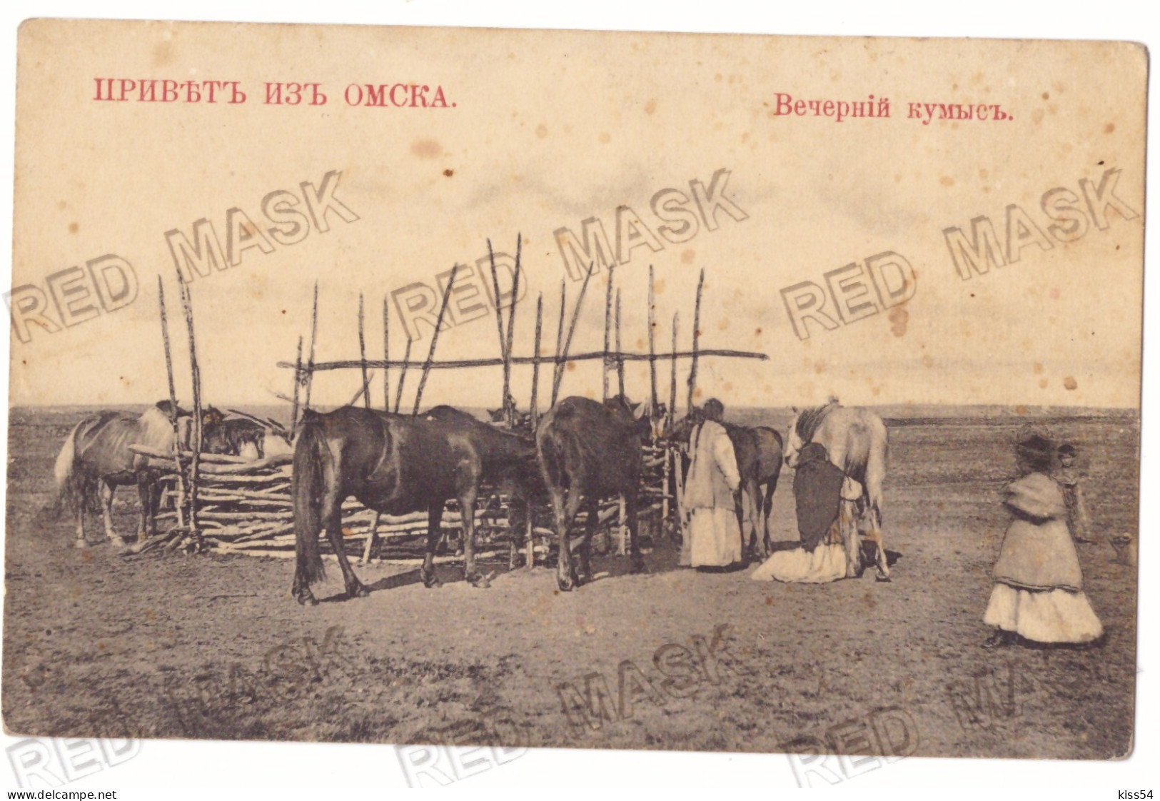 RUS 60 - 22245 OMSK Ethnic With Horses, Russia - Old Postcard - Unused - Russia