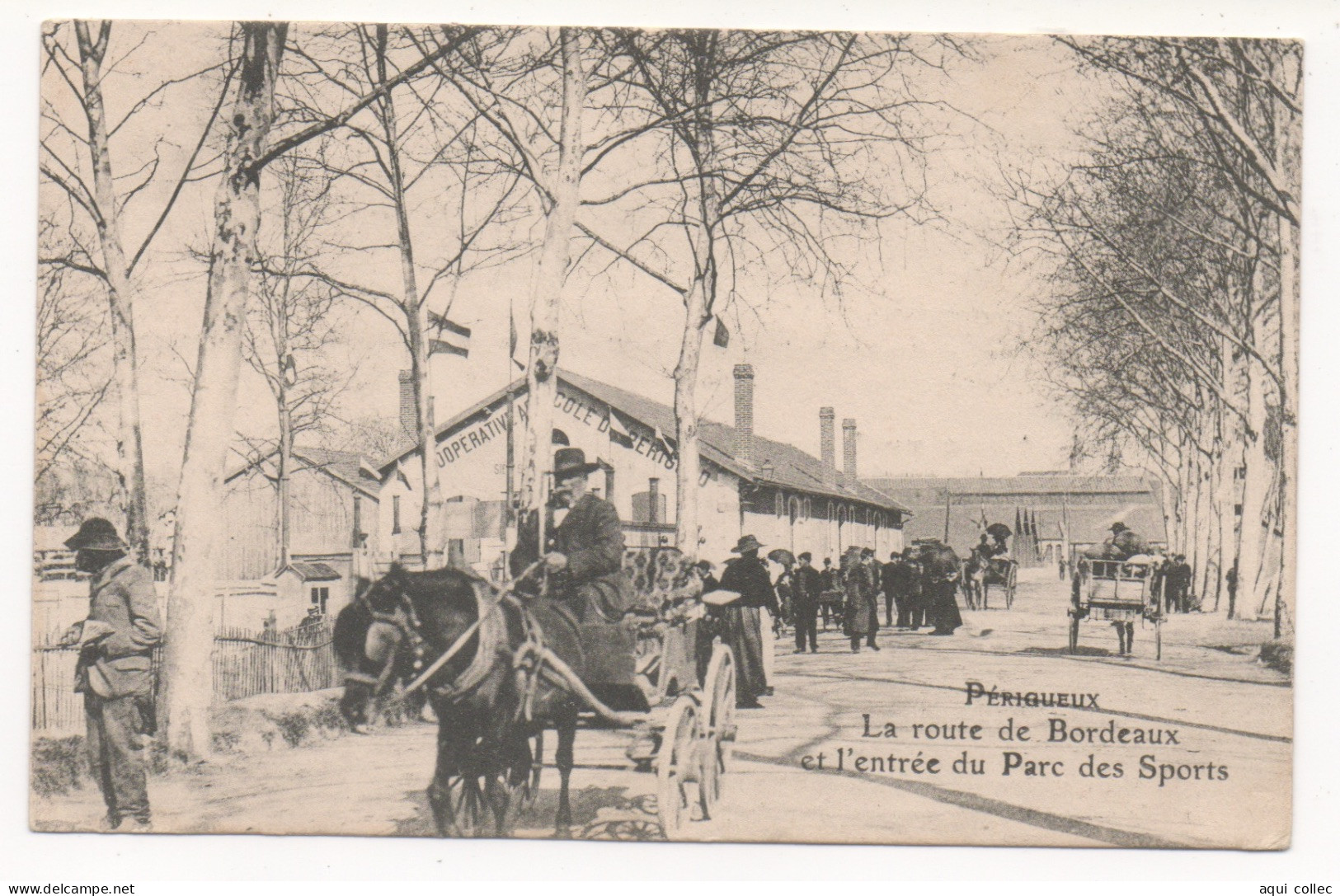 PERIGUEUX    24  DORDOGNE PERIGORD  LA ROUTE DE BORDEAUX ET L'ENTRÉE DU PARC DES SPORTS (GRANDE BLANCHISSERIE MODERNE ) - Périgueux