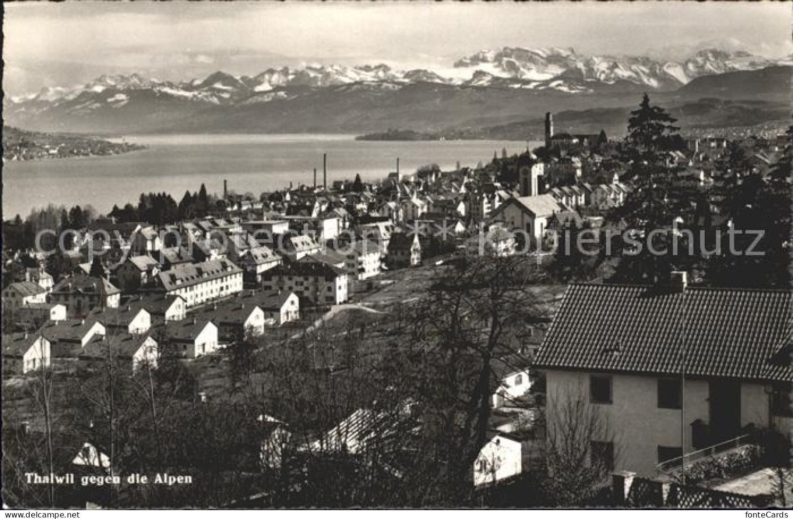 11927288 Thalwil Alpenpanorama Thalwil - Otros & Sin Clasificación