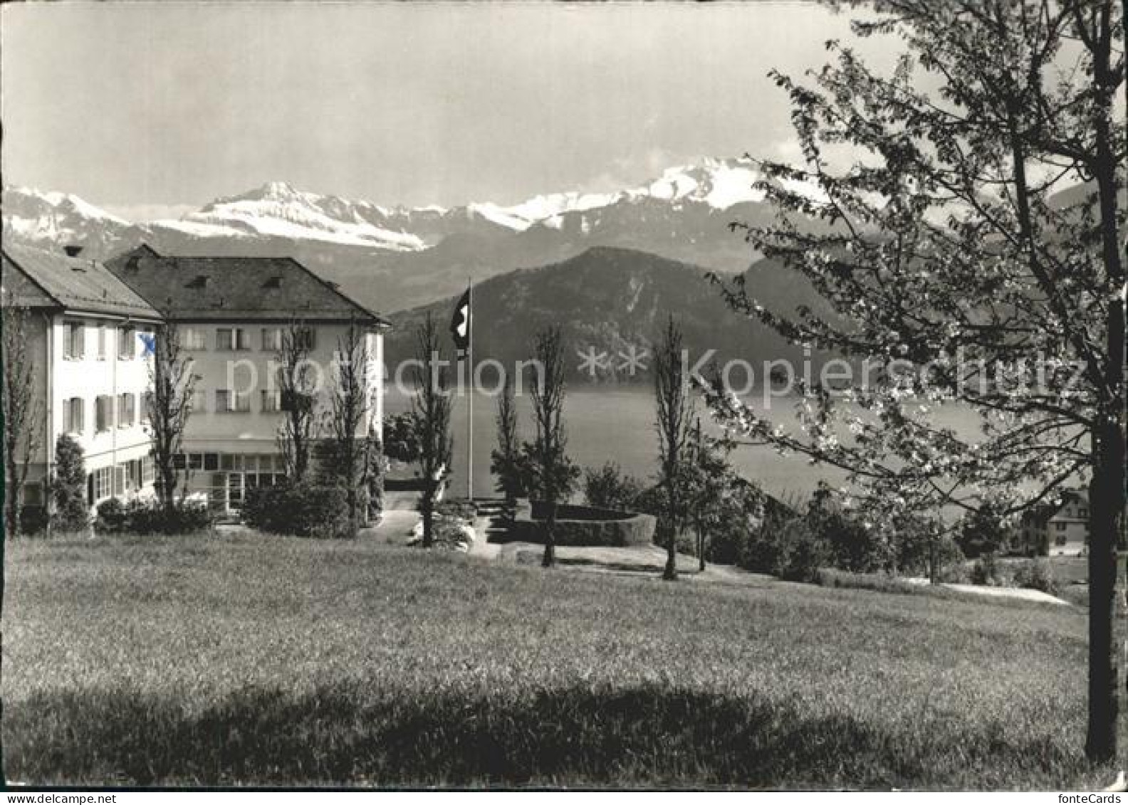 11925520 Weggis Vierwaldstaettersee Ferienhaus CO-OP Weggis - Otros & Sin Clasificación