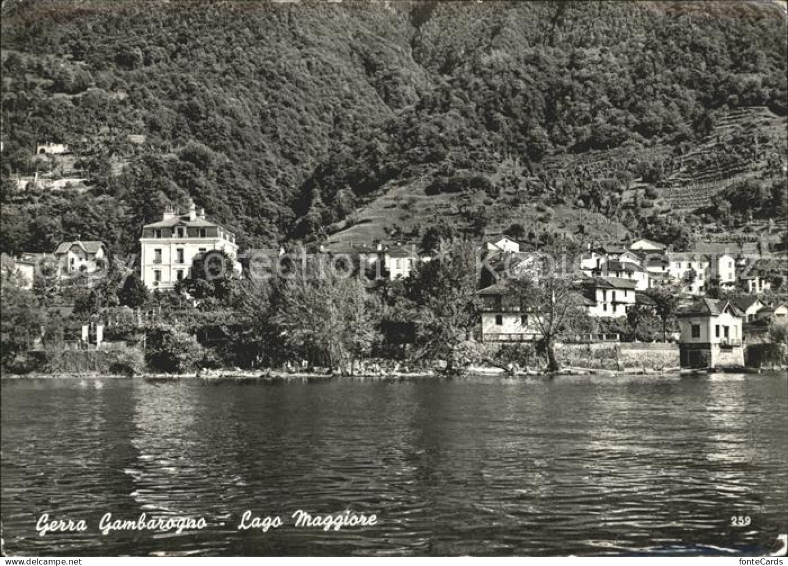 11923878 Gerra Gambarogno Lago Maggiore Gerra - Autres & Non Classés