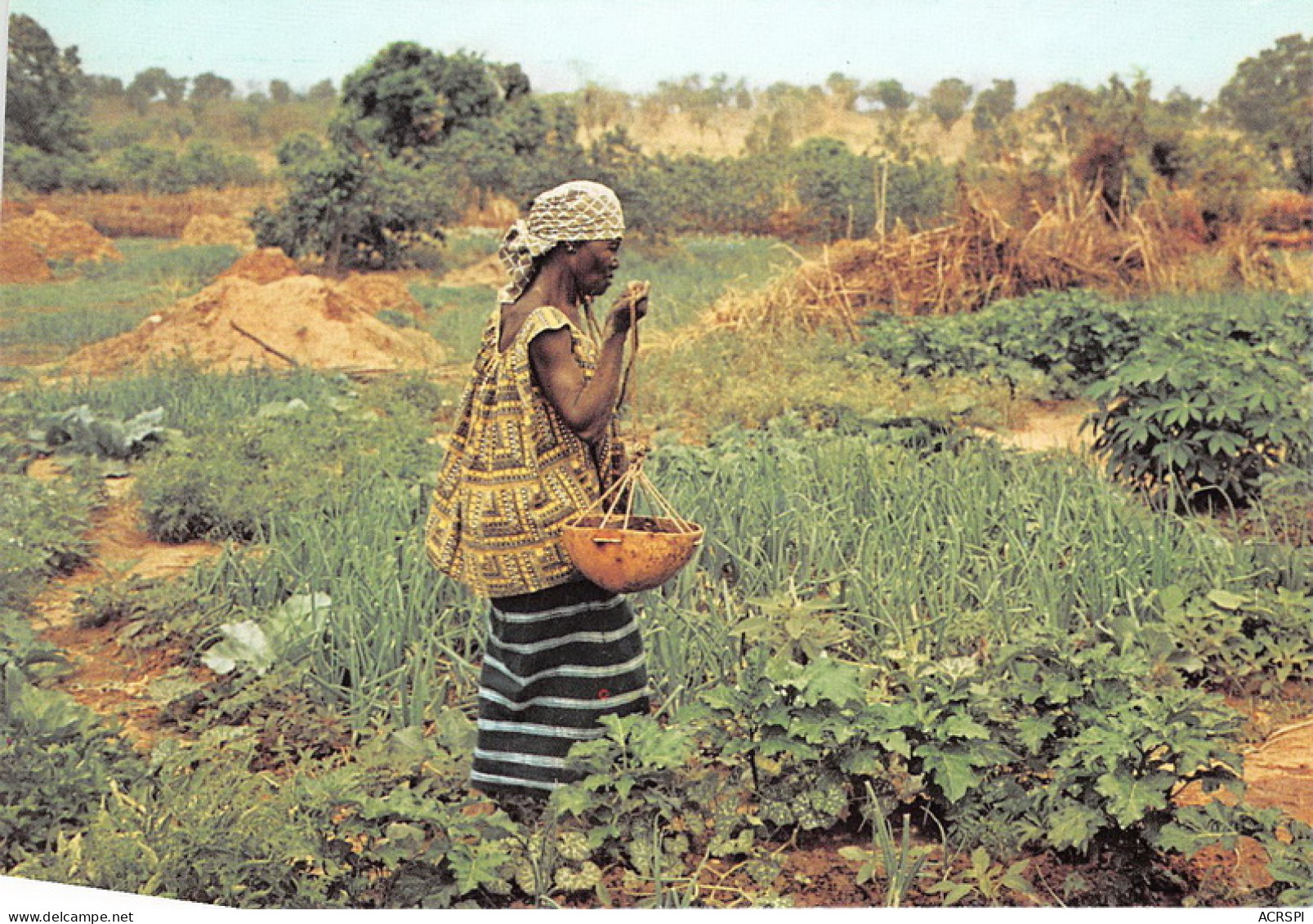 MALI Ancien Soudan Français AOF KAMBILA Marigot Durant La Courte Saison Des Pluies  N° 29 \MK3000 - Malí