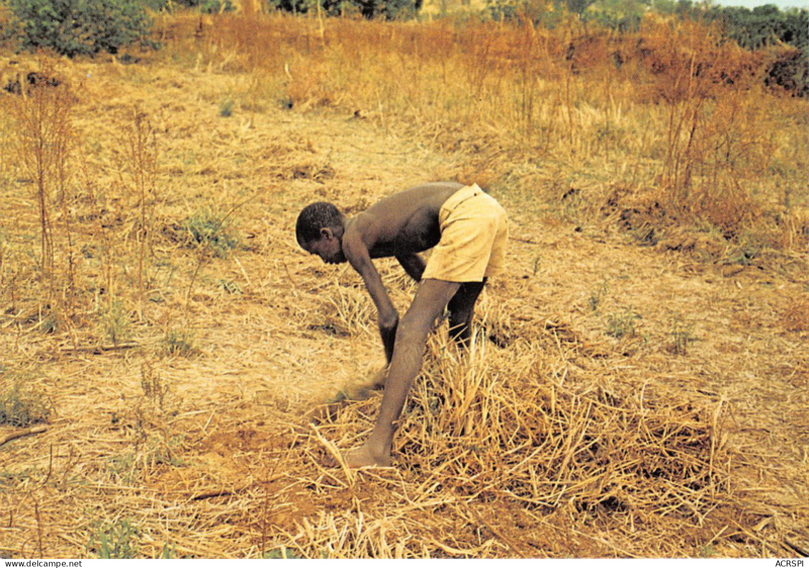 MALI Ancien Soudan Français AOF KAMBILA Travail Avec La Dada Petite Pioche  N° 30 \MK3000 - Mali