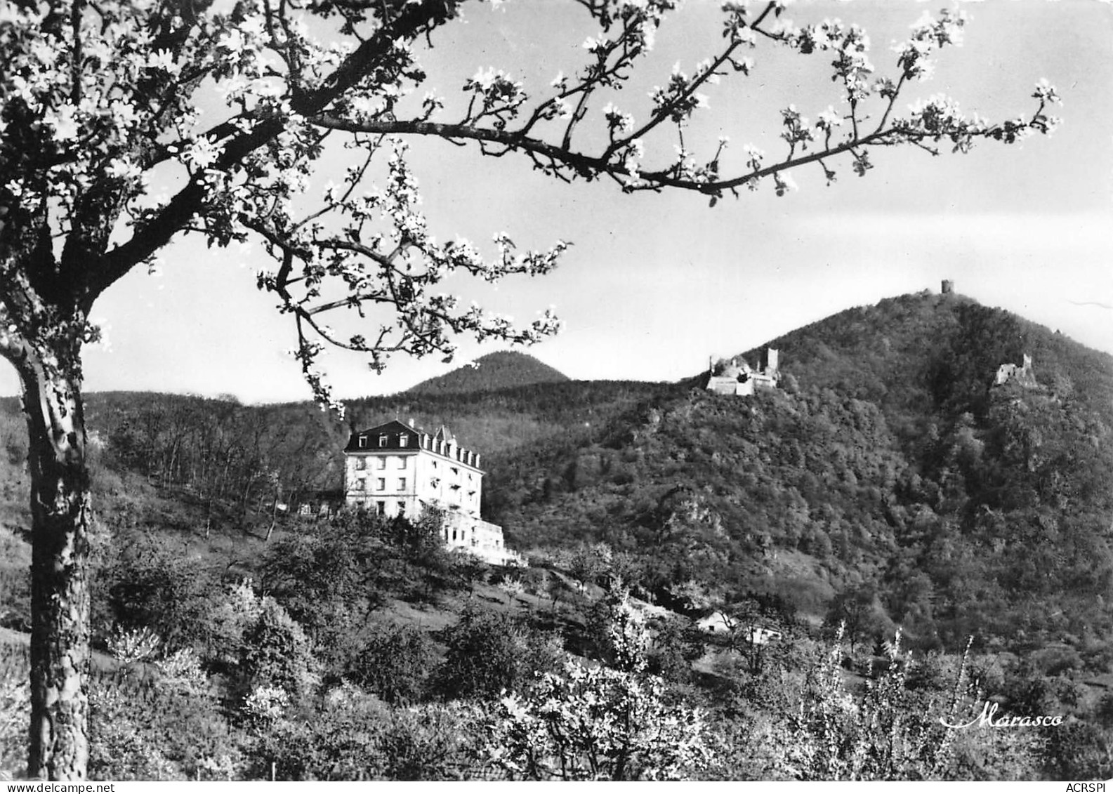 68  RIBEAUVILLE   Les Trois Chateaux Et L'hotel Belle-Vue   N° 100 \MK3000 - Ribeauvillé